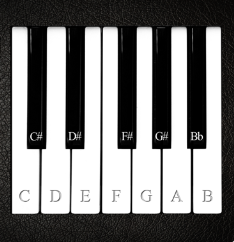 Virtual Piano icon